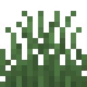 Minecraft Short Grass item icon (latest, transparent PNG)