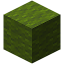 Minecraft Green Wool item icon (latest, transparent PNG)