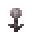 Minecraft Closed Eyeblossom item icon (latest, transparent PNG)