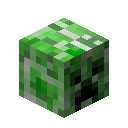 Minecraft Creeper Head item icon (latest, transparent PNG)