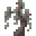 Minecraft Pale Oak Sapling item icon (latest, transparent PNG)