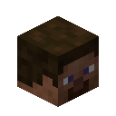 Minecraft Player Head item icon (latest, transparent PNG)